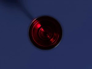 Drink Glass - Red Wine 3D Model
