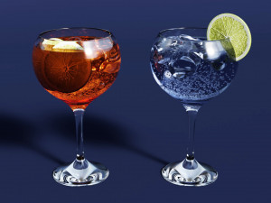 Drink Glass - Tropical Gin and Gin Tonic 3Dモデル