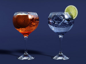 Drink Glass - Tropical Gin and Gin Tonic Modèle 3D