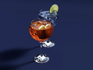 Drink Glass - Tropical Gin and Gin Tonic Modèle 3D
