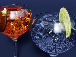 Drink Glass - Tropical Gin and Gin Tonic Modèle 3D