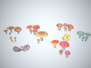 Mushroom Collection Low-poly 3D Model