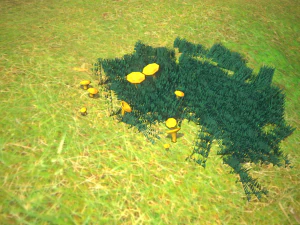 Mushroom Collection Low-poly 3D Model