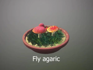 Mushroom Collection Low-poly 3D Model