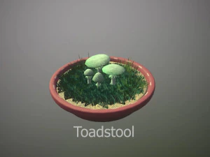 Mushroom Collection Low-poly 3D Model