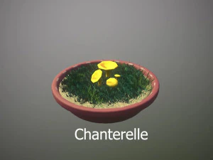 Mushroom Collection Low-poly 3D Model