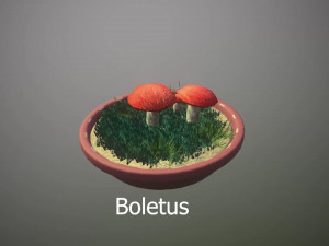 Mushroom Collection Low-poly 3D मॉडल
