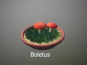 Mushroom Collection Low-poly 3D Model