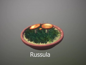 Mushroom Collection Low-poly 3D मॉडल