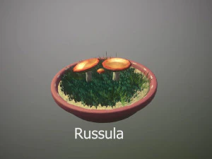 Mushroom Collection Low-poly 3D Model