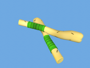 Bone Sword Low Poly Toon Style Model 3D