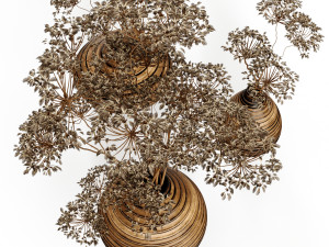 Bouquets Hazel 01 Modelo 3D