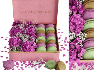 盒装马卡龙01 3D 模型