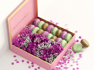 Box macarons 01 3D Model