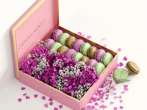 Box macarons 01 3D Model