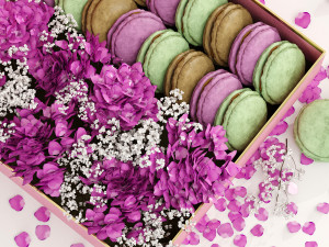 Box macarons 01 3D Model