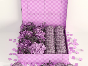 Box macarons 01 3D Model