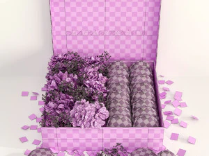 Box macarons 01 3D Model