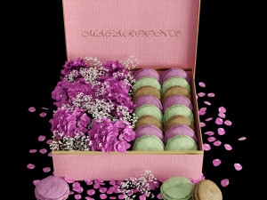 Box macarons 01 3D Model
