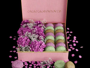 Box macarons 01 3D Model