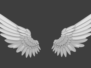 Wings 3D Модель
