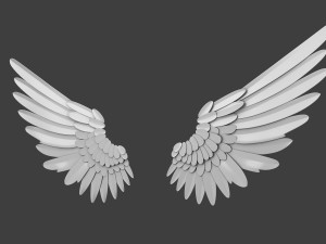 Wings Modelo 3D