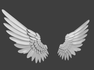 Wings Modelo 3D