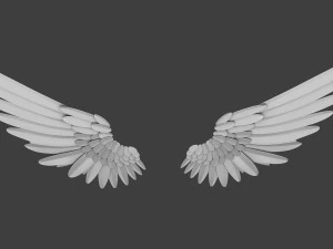 Wings 3D Model