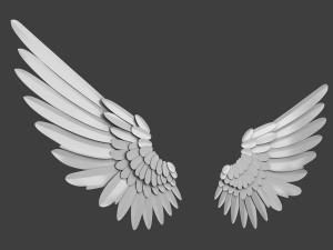 Wings Modelo 3D