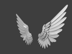 Wings Modelo 3D