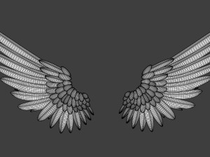 Wings Modelo 3D