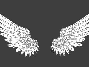 Wings Modelo 3D
