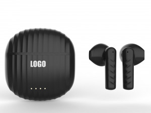 True Wireless Earbuds Model 3D