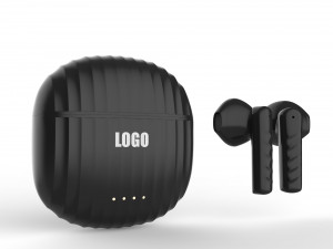 True Wireless Earbuds Model 3D
