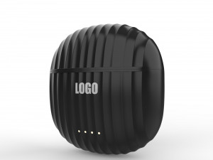 True Wireless Earbuds Model 3D