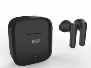 True Wireless Earbuds Model 3D