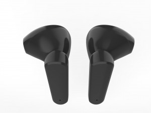 True Wireless Earbuds Model 3D