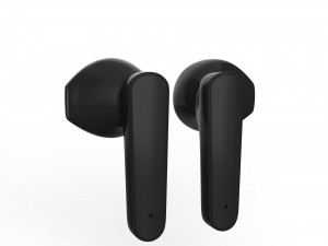 True Wireless Earbuds Model 3D