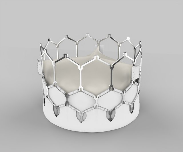 Heart Valve 3D प्रिंट मॉडल .c4d .max .obj .3ds .fbx .stl .blend 