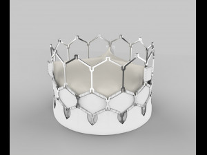 Heart Valve 3D 打印模型