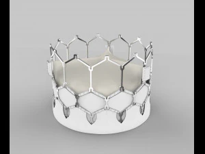 Valvola cardiaca Modello di stampa 3D