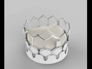 Heart Valve 3D प्रिंट मॉडल