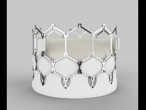 Heart Valve 3D प्रिंट मॉडल
