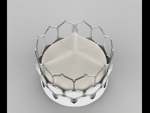 Heart Valve 3D प्रिंट मॉडल