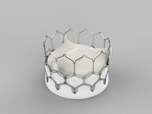 Heart Valve 3D प्रिंट मॉडल