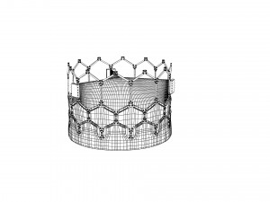 Heart Valve 3D प्रिंट मॉडल