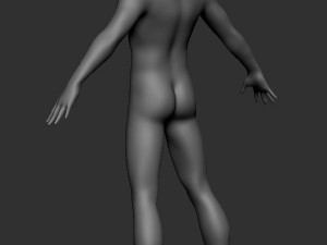 Base mesh male body 3D Model