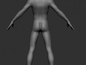 Base mesh male body 3D Model