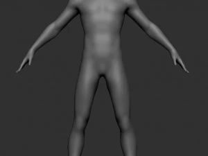 Base mesh male body 3D Model