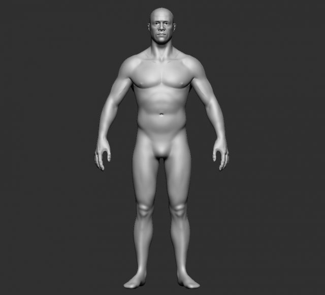 BASE MESH BODY MALE 3Dモデル .c4d .max .obj .3ds .fbx .stl .blend 
